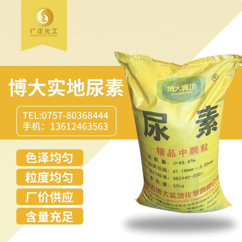 博(bo)大實地(di)尿素